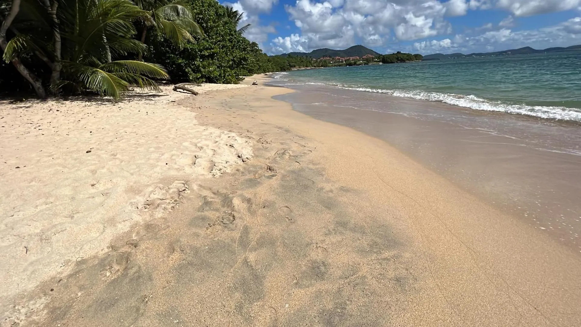 Elegant Appartement T3 Chataigne : Spacieux Sainte-Luce Martinique